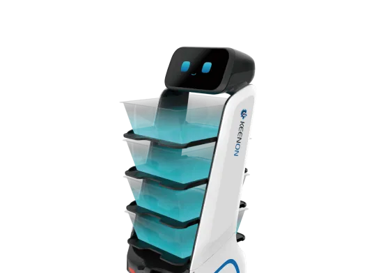 T9 carico