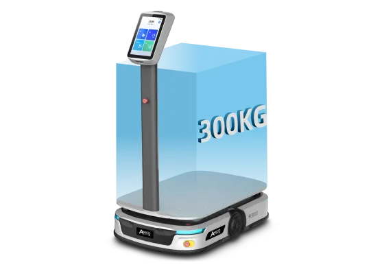 S300 portata 300kg