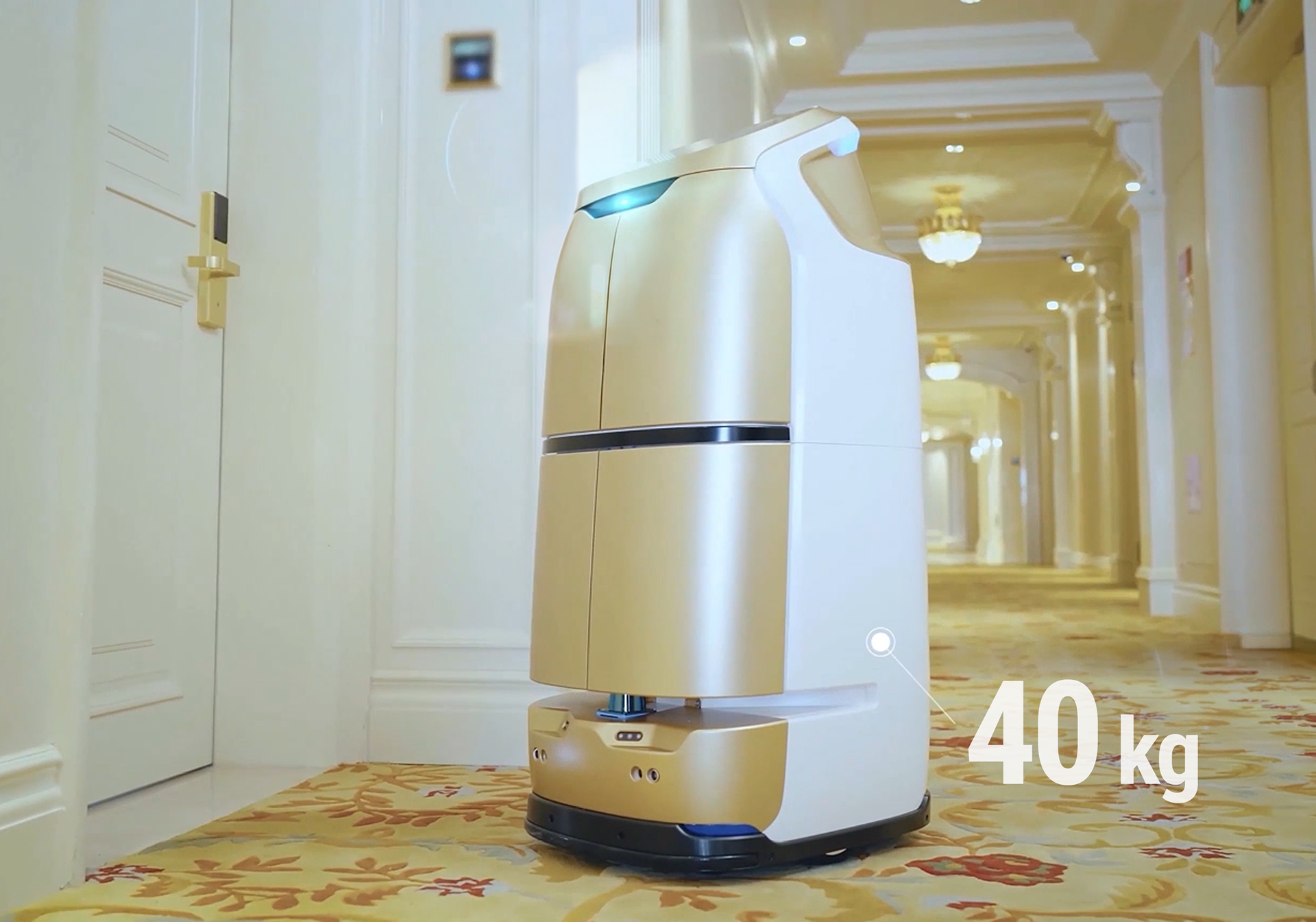 W3 capacita carico 20 kg